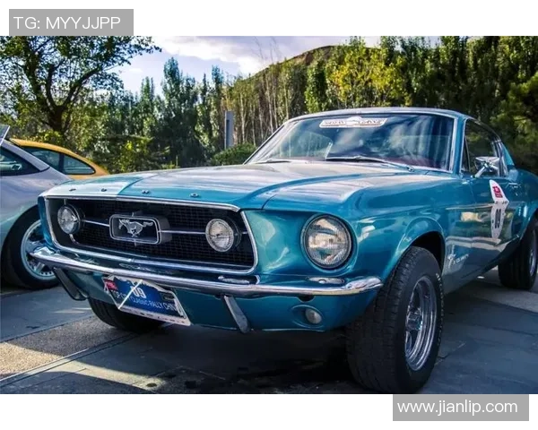 纽卡斯尔喷气机迎战泊斯光荣势必上演一场精彩对决